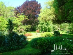 Galeriebild
